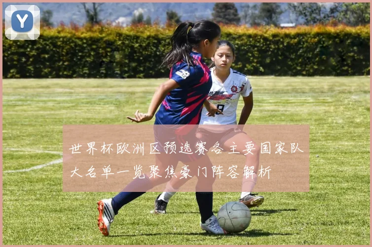 世界杯欧洲区预选赛各主要国家队大名单一览聚焦豪门阵容解析