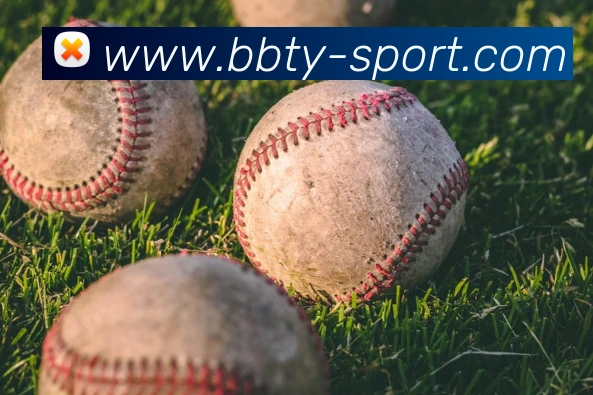 BB体育:全球职业竞技赛事资讯与实时数据交互门户平台生态图